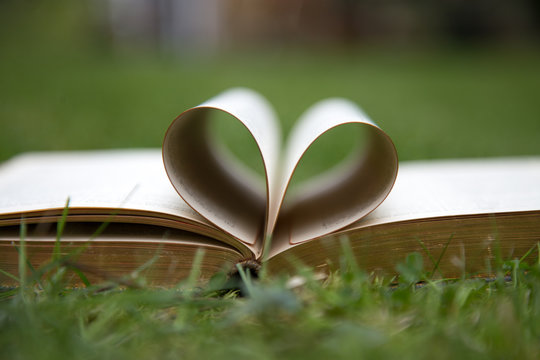 Antiquarian Book - open with heart shape in the centrefold. In outdoor grass / lawn setting. 
