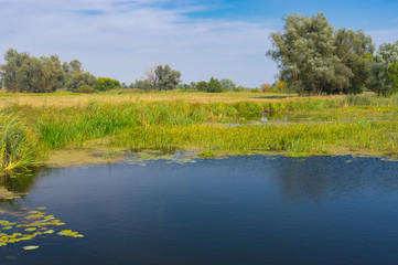 Late summer landscape on a small river Merla in central Ukraine