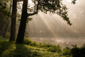 Park Lubomirskich - Białystok