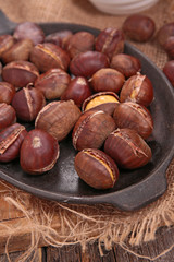 roasted chestnut