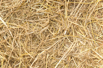 straw background