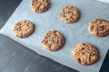 baking chocolate biscuits