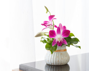 Fototapeta na wymiar docorate of orchid flowers.