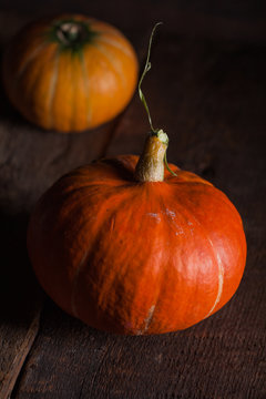 Big Pumpkins o a Dark Background