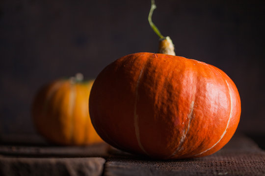 Big Pumpkins o a Dark Background