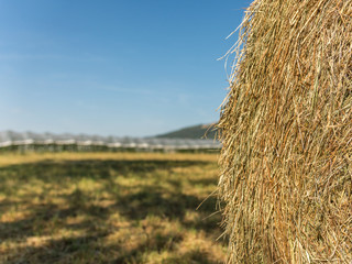 Hay bale in front of greenhouse