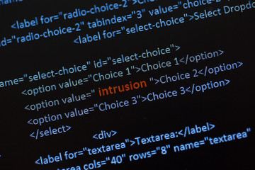 Intrusion word red in the middle of a code text on a computer screen. Image taken in a small angle.