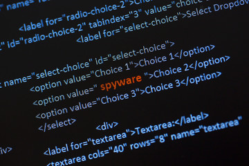 Spyware word red in the middle of a code text on a computer screen. Image taken in a small angle.