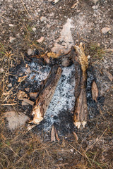 Ash around burned down campfire in nature.