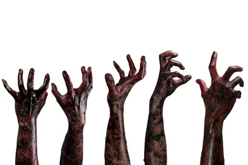 Fotobehang Blood  zombie hands,  zombie theme, halloween theme © ijeab
