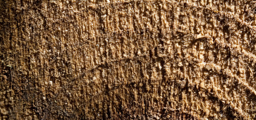 wooden board background