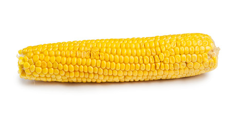Corn cob