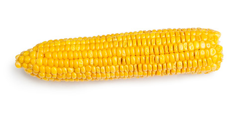 Corn cob