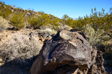 Mojave National Preserve