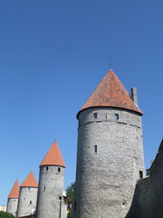 Fototapeta premium The Towers of City Wall of Tallinn, Estonia 