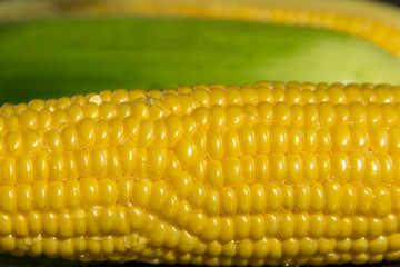 Спелая кукуруза с початками на темном каменном фоне. Здоровое питание.