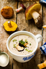 forest mushrooms cream soup