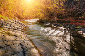Beautiful fall scene on a clear mountain river with small waterfall and rapids, gravel with with colorful rocky bottom and fallen leaves at sunny day.