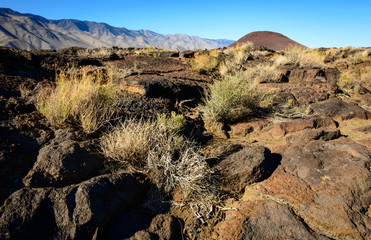 Red Hill cinder cone