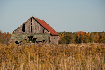 Obraz premium Seen Better Days