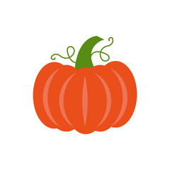 Vector pumpkin.