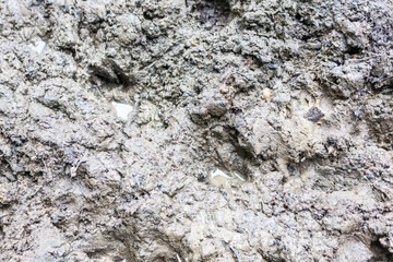 Wet soggy mud with footprints