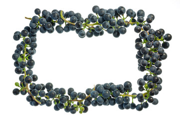 Frame of grape bunches on a white background