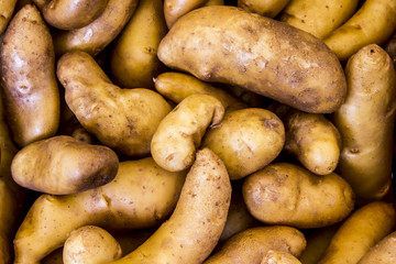 Fresh potatoes for sale at a farmer's market