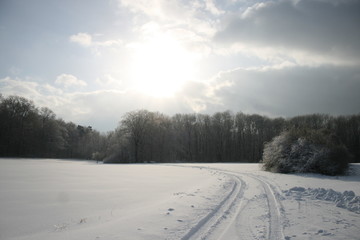 Schneelandschaft 