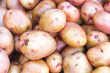 Fresh potatoes for sale at a farmer's market