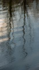 reflection of trees in water river
