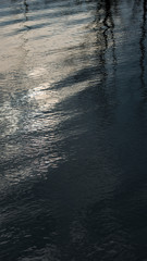 reflection of trees in water river