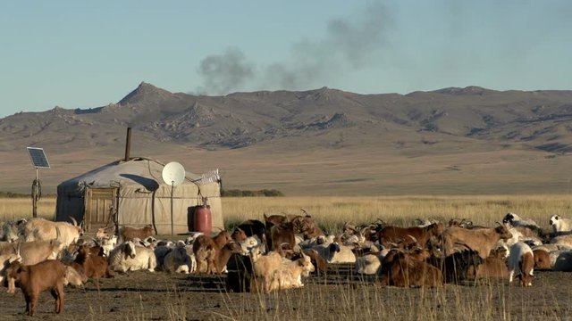 Mongolia_18