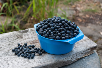 Fototapeta na wymiar Bowl with blueberries.