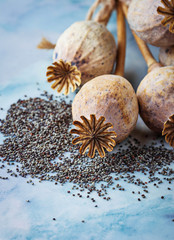 Poppy seeds and heads on wooden background