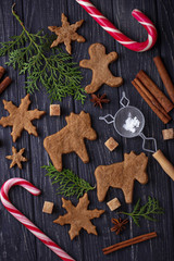 Obraz na płótnie Canvas Christmas cookies in shape of deer and snowflake.