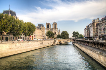 The Seine river with the Notre Dame cathedral in the background in Paris in France
