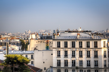 Fototapeta na wymiar Excellent view from the top of Montmartre over the city of Paris 