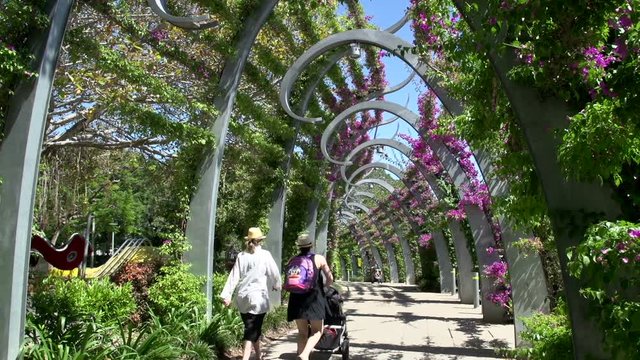Tilt from promenade to people walking in South Bank Parklands in brisbane 