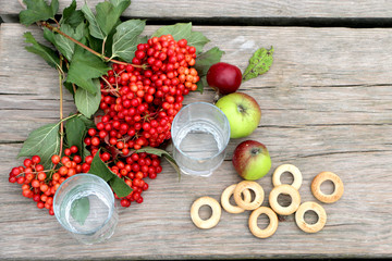 Red berries viburnum, book Biblieeyu