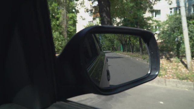 Car rides on the street in summer season with green trees on the sidewalk. We can see road and sign crosswalk and building in the wing mirror, also known as the fender, door or side view mirrors.
