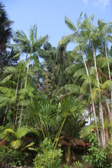 Guyane - Camp Cariacou - Août 2016