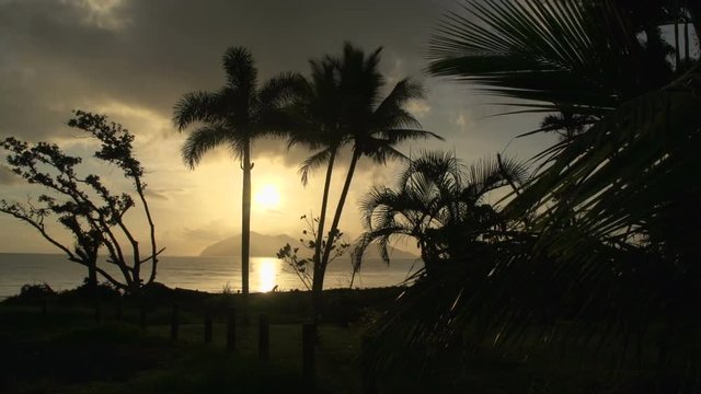 Sunrise with palm trees and Dunk Island on the background in mission beach, Queensland, Australia