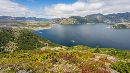 Obraz premium Beautiful lake in the mountains. Wildflowers growing on the shore of the lake. Mount St Helens National Park, East Part, South Cascades in Washington State, USA