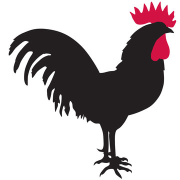 Silhouette of a rooster. Symbol of New Year 2017 