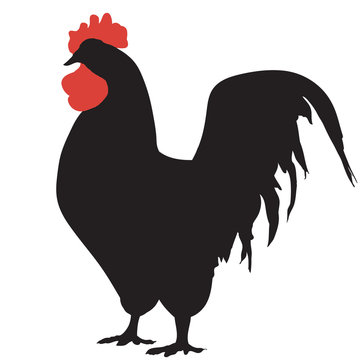 Silhouette of a rooster. Symbol of New Year 2017 