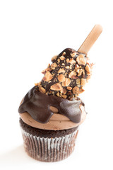 Sweet chocollate cup cake with ice cream o top,selective focus
