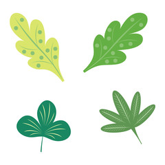 Fototapeta na wymiar Leaf icon vector illustration.