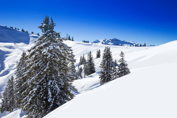 Swiss Alps covered by fresh new snow seen from Hoch-Ybrig ski resort, Central Switzerland