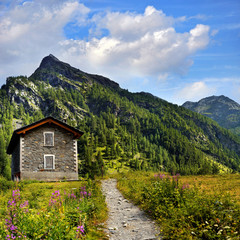 Fototapeta na wymiar old shelter with path in alpien mountains landscape